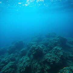 Fototapeta premium view of a reef, underwater, sea, ocean