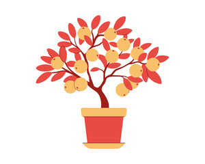Chinese Mandarin Tree Growing in a Pot. Mandarin Tree Harvest. Lunar New Year Traditional Decoration. White background