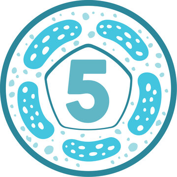 Icon 5 probiotic strains of a microorganism illustration.
Ideal for medical and institutional materials