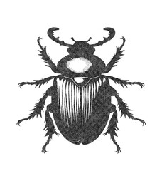 Scarab Beetle Insect Illustration on White Background in Old OverPrint Style
