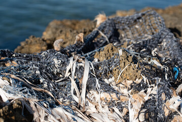 Close-up and close-up of a plastic fishing net clinging to a rough rock. Algae have become entangled in the net.