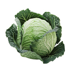 A 3D render of a cartoon-style fresh green cabbage. The cabbage is large and has a few outer leaves. It is isolated on a transparent background. 