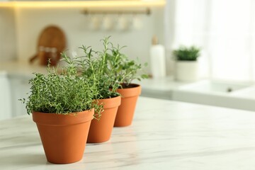 Different aromatic herbs in pots on white marble table in kitchen space for text