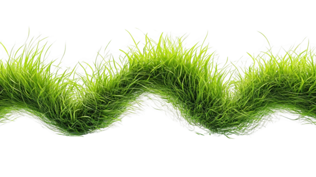 Waving Green Grass, A Transparent Object, See Through the Blades