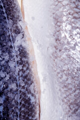 Close Up of Fish Skin and Scales With Sea Salt Abstract Macro Background Basa Cod