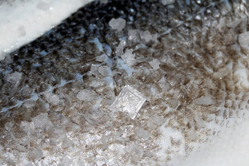 Close Up of Fish Skin and Scales With Sea Salt Abstract Macro Background Basa Cod