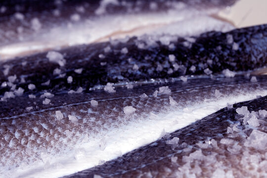 Fresh fish skin preparation in professional kitchen setting