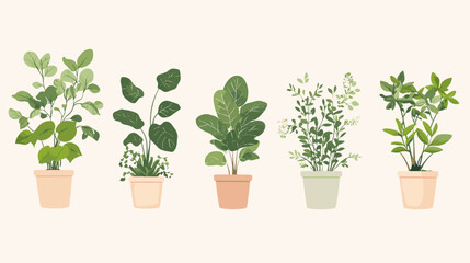 Obraz premium Collection of potted plants arranged in a row showcasing diverse greenery and textures in a neutral background