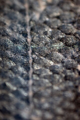 Close Up of Fish Skin and Scales With Sea Salt Abstract Macro Background Basa Cod
