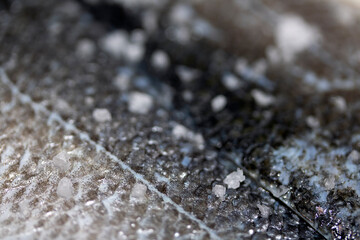 Close Up of Fish Skin and Scales With Sea Salt Abstract Macro Background Basa Cod