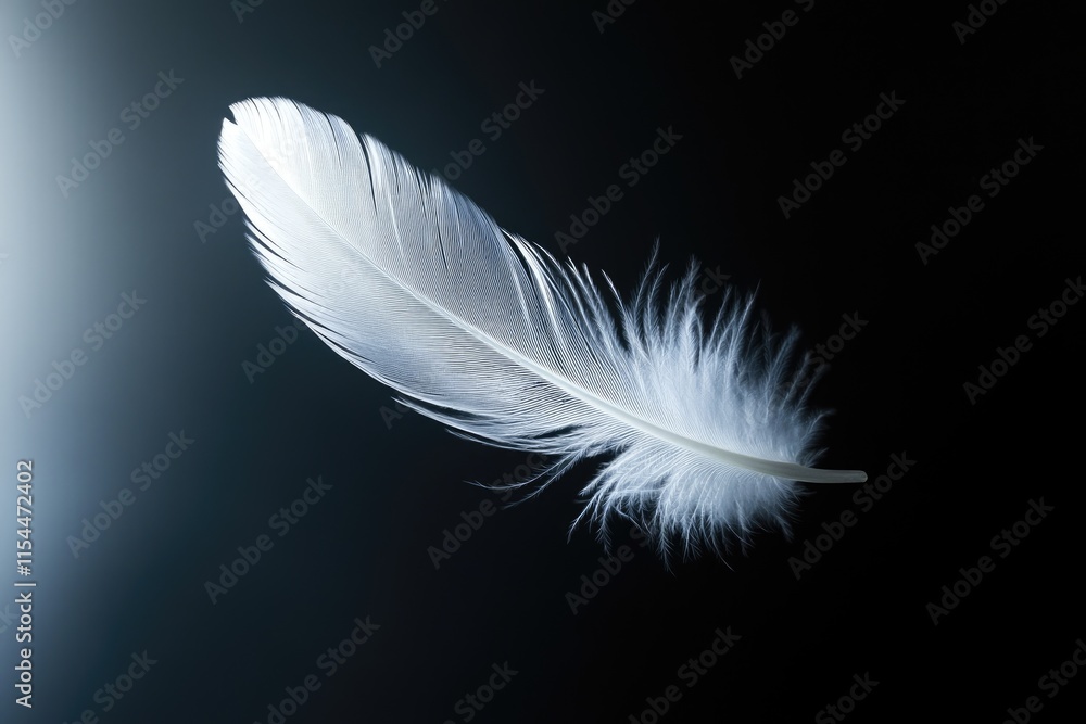 Poster a single, delicate white feather floats against a stark transparent background, creating a serene an