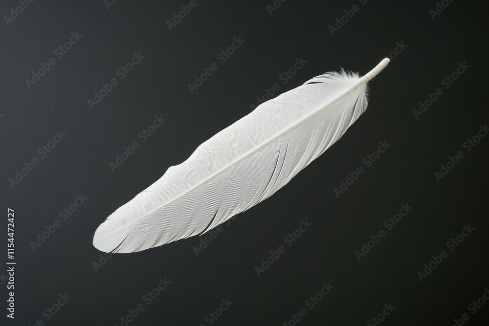 Poster a single white feather floats gently against a dark background, showcasing its delicate structure an