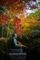 鎌倉2412　建長寺30　紅葉