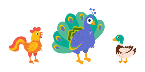 Colorful cartoon birds standing together in a playful arrangement