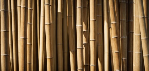 Naklejka premium Bamboo Stalks Pattern Texture Background