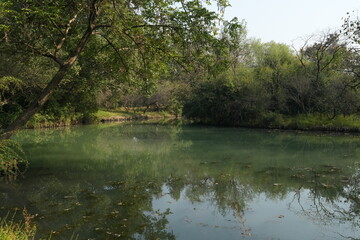 Beautiful bucolic scenery unfolds in autumn, with a serene lake surrounded by vibrant trees and flowers in a stunning array of colors, painting the landscape in warmth and charm.