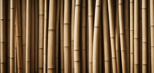 Naklejka premium Bamboo Stalks Pattern Texture Background