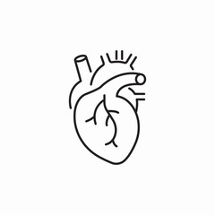 human heart icon sign vector