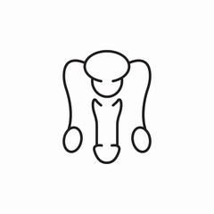male genital organ insides icon sign vector