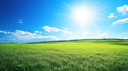 Obraz premium Bright Sunny Day Over Lush Green Field Under a Clear Blue Sky