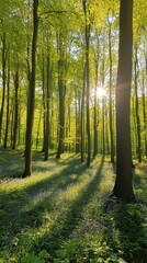 Lush green forest with sunlight filtering through trees and blue flowers.