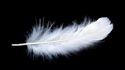Obraz premium A white feather floating gently in the air, symbolizing angels and spiritual presence