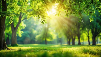 Obraz premium Nature scene with blurred greenery in a park bathed in sunlight against an abstract background, nature, blur, green, park