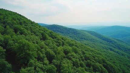 Naklejka premium Lush Green Mountains Under Soft Clouds with Expansive Sky View