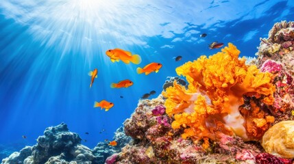 Naklejka premium Vibrant Coral Reef Underwater Scene with Colorful Fish Swimming Gracefully