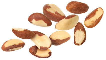 Many Brazil nuts in air on white background