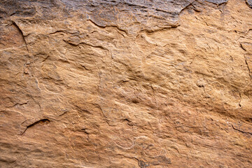 Textures in the sandstone cliff.