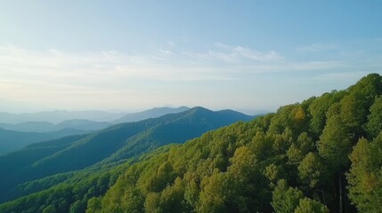 Obraz premium Serene Mountain Landscape with Lush Green Trees and Clear Blue Sky