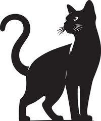 Black cat silhouette