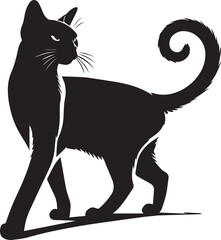 Black cat silhouette