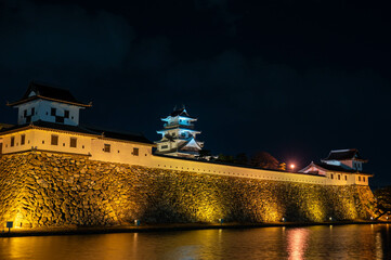 ライトアップされた今治城