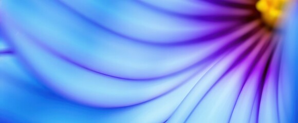 "Whispers of Bloom: A Delicate Floral Close-Up"