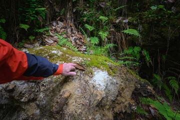 A man's hand gently picking up a dried leaf