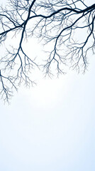 Fototapeta premium Winter Bare Tree Branches against Cloudy Sky, Nature Background, Design Element.