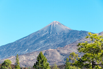 Naklejka premium El Teide national park,Tenerife,Canary Islands.Spain 