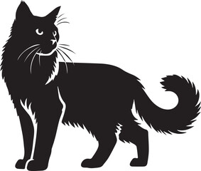 Black cat illustration