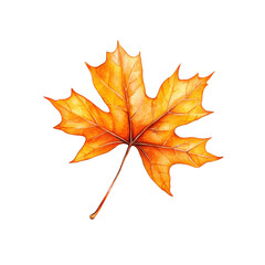 Obraz premium Elegant Maple Leaf Watercolor Painting in Radiant Hues