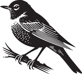 Bird on a branch