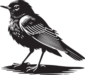 Bird on a branch