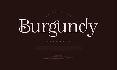 Burgundy typography beauty fashion elegant minimalist serif italic fonts decorative wedding vintage retro logos. Minimal luxury font alphabet logo. Vector illustration
