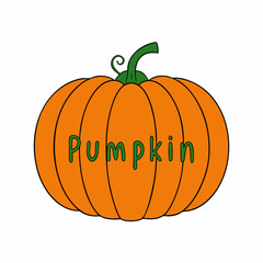 halloween pumpkin isolated