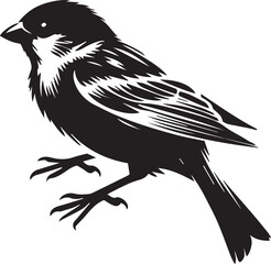 Sparrow bird silhouette 