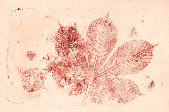 imprints of real leaves on paper, creative abstract grunge background