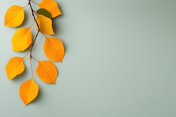 A branch with vibrant yellow leaves against a soft green background, evoking a serene autumn ambiance.