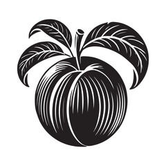 Nectarine Silhouette Vector Illustration, Solid White Background.