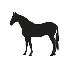 Horse silhouette design animal vector illustration 